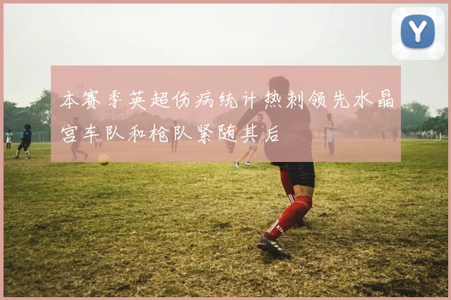 本赛季英超伤病统计热刺领先水晶宫车队和枪队紧随其后