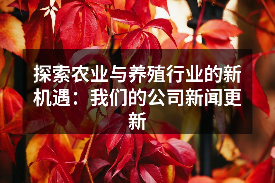 新推出的智能饲喂系统